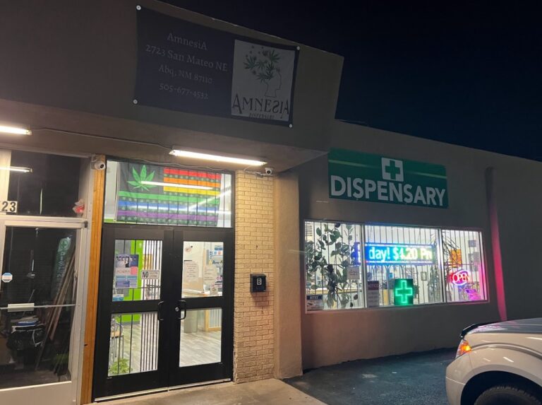 amnesia albuq1 768x573