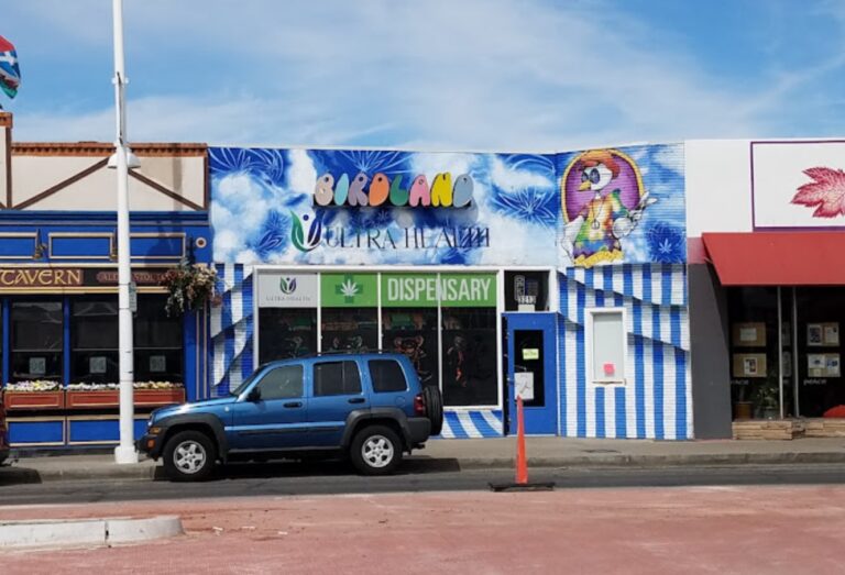 birdland nm1 768x523