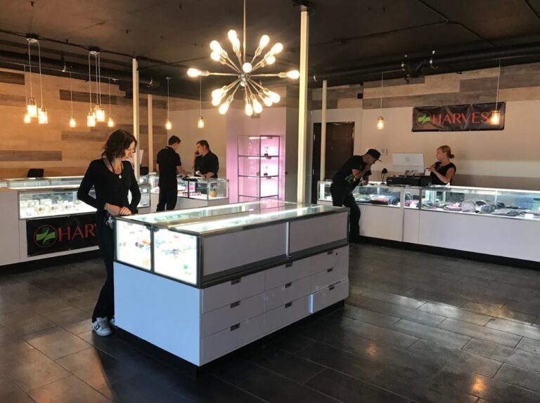 harvest albuq1 768x574