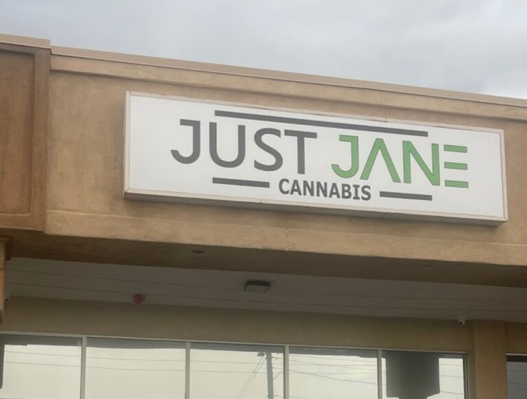 just jane albuq1 768x581