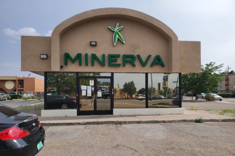 minerva canna nm1 768x511