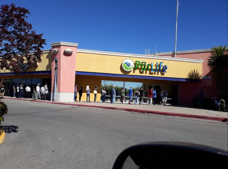 purlife albuq1 768x570